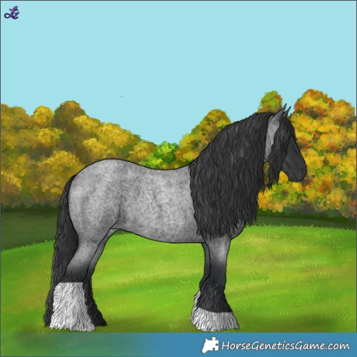 Horse Color:Blue Roan Tobiano