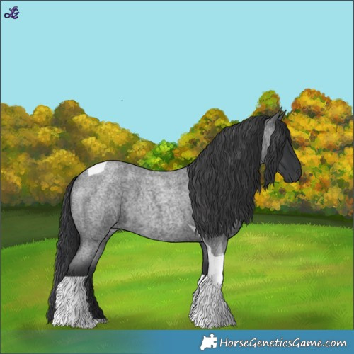 Horse Color:Blue Roan Tobiano