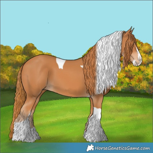 Horse Color:Chestnut Splash Tobiano 