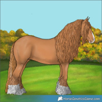 Horse Color:Chestnut Splash Tobiano 