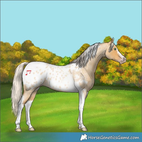 Horse Color:Gray Silver Amber Cream Champagne Roan Dun Splash Tobiano Frame Appaloosa Rabicano 