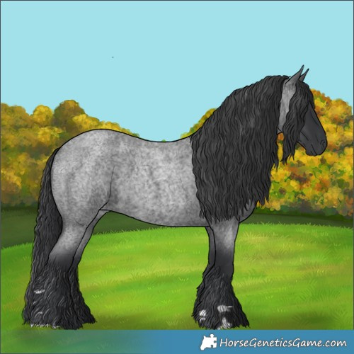 Horse Color:Blue Roan 