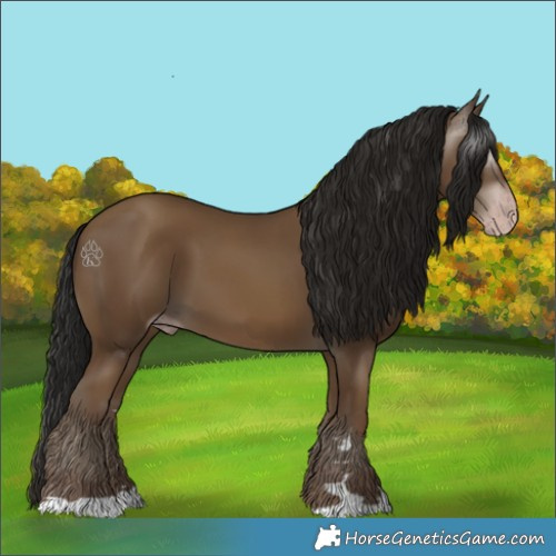 Horse Color:Gray Classic Champagne