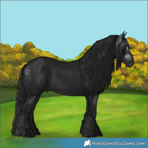 Horse Color:Gray Black 