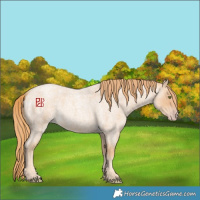 Horse Color:Gold Champagne Roan 