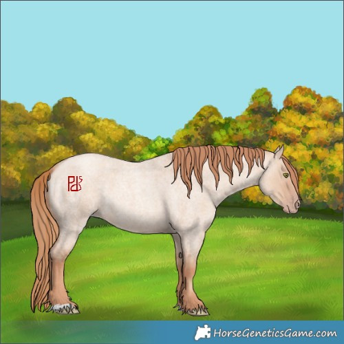 Horse Color:Gold Champagne Roan Dun 