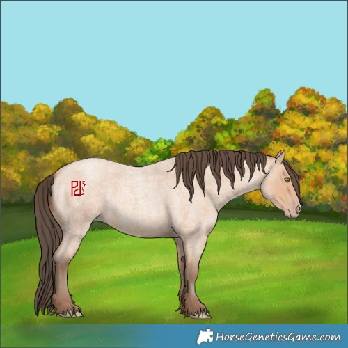 Horse Color:Amber Champagne Roan 