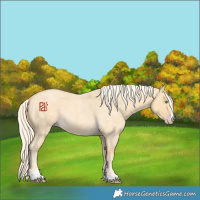 Horse Color:Gold Cream Champagne Roan 