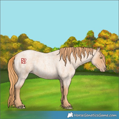 Horse Color:Gold Champagne Roan