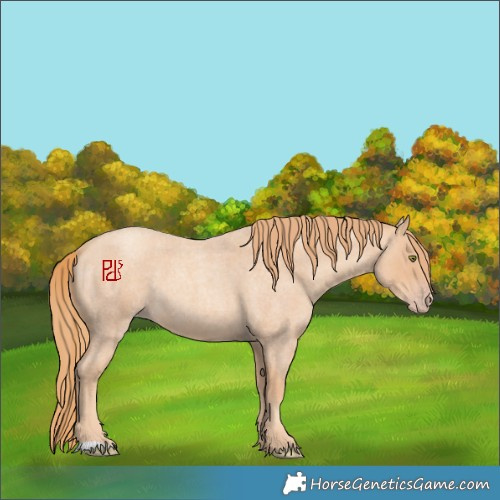 Horse Color:Gold Champagne Roan 