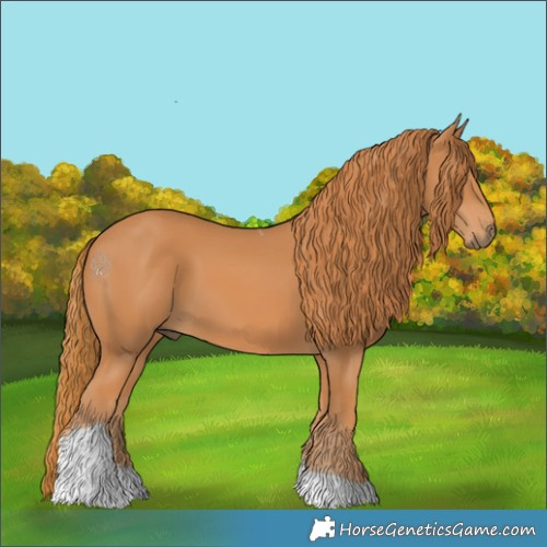 Horse Color:Chestnut Tobiano 