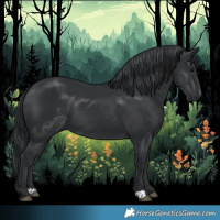Horse Color:Black 