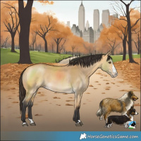 Horse Color:Buckskin Dun Splash