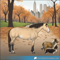 Horse Color:Buckskin Dun Splash 