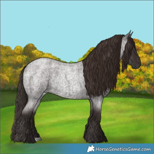 Horse Color:Liver Red Roan and Liver Red Roan