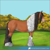 Horse Color:Bay Tobiano 