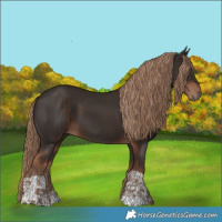Horse Color:Liver Chestnut  and Liver Chestnut 