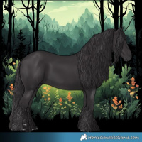 Horse Color:Smoky Black 
