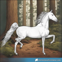 Horse Color:Gray Black 