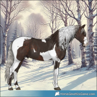 Horse Color:Liver Chestnut  and Silver Brown Tobiano 