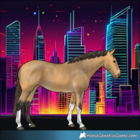 Horse Color:Buckskin Tobiano 