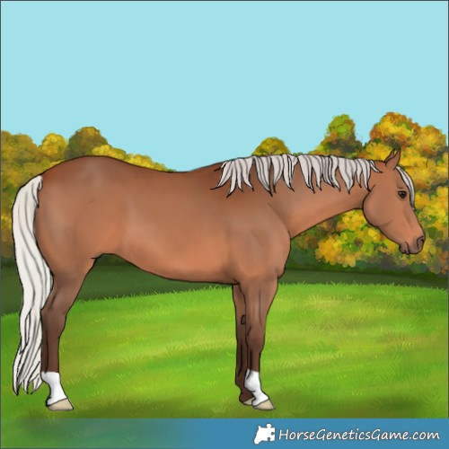 Horse Color:Silver Brown 