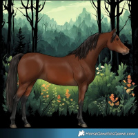 Horse Color:Gray Bay 