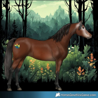 Horse Color:Gray Bay 