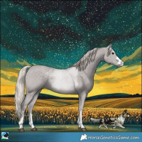 Horse Color:Silver Black 