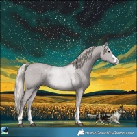 Horse Color:Silver Black 