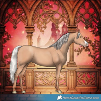 Horse Color:Silver Amber Champagne Frame 