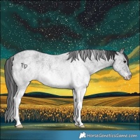 Horse Color:White Spotted Blue Roan 