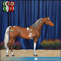 Horse Color:Silver Bay Tobiano Rabicano 