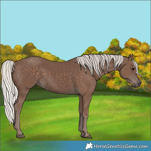 Horse Color:Silver Black