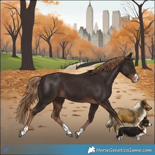 Horse Color:Liver Chestnut 