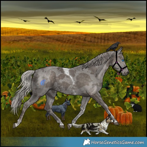 Horse Color:Silver Black Merle Tobiano 