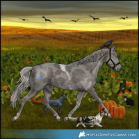Horse Color:Silver Black Merle Tobiano 