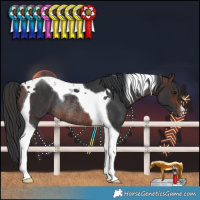 Horse Color:Brown Tobiano Rabicano 