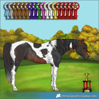 Horse Color:Brown Tobiano Rabicano 