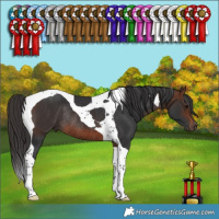 Horse Color:Brown Tobiano Rabicano 