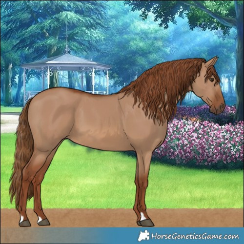 Horse Color:Red Dun 