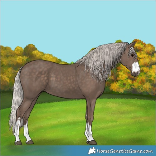 Horse Color:Silver Black 
