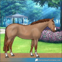 Horse Color:Red Dun 