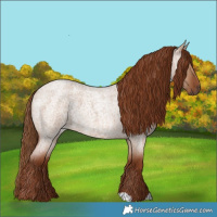 Horse Color:Red Dun Roan 