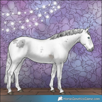 Horse Color:White Spotted Brown Merle Tobiano 