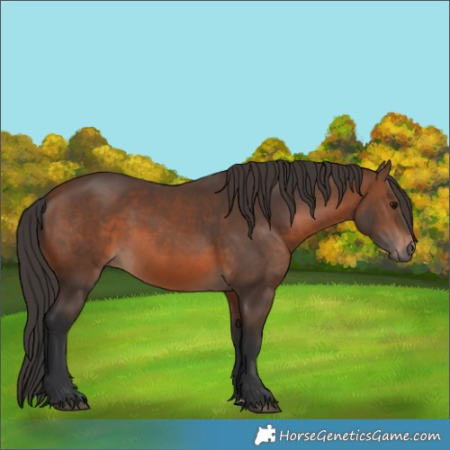 Horse Color:Brown 