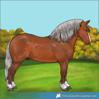 Horse Color:Silver Bay 
