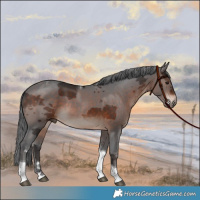 Horse Color:Brown Merle Tobiano 