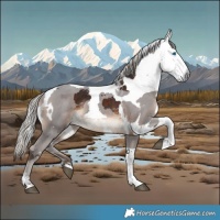 Horse Color:White Spotted Silver Brown Merle Tobiano 