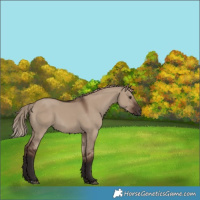 Horse Color:Liver Red Dun 
